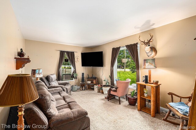 4470 Beach St, Akron, MI 48701 - living area with carpet floors and plenty of natural light