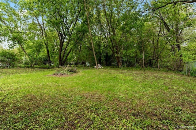 3301 S Kearsley Blvd, Flint, MI 48506 - view of yard