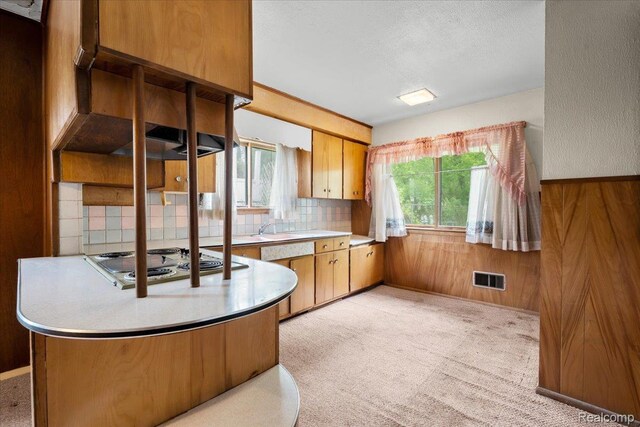 3301 S Kearsley Blvd, Flint, MI 48506 - kitchen with tasteful backsplash, electric stovetop, light countertops, a textured ceiling, and a sink