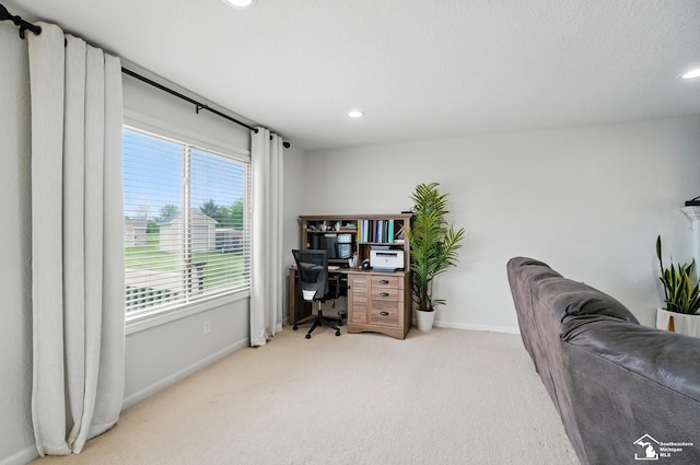 4853 Southpointe Pkwy, Monroe, MI 48161 - home office featuring light carpet, baseboards, and recessed lighting