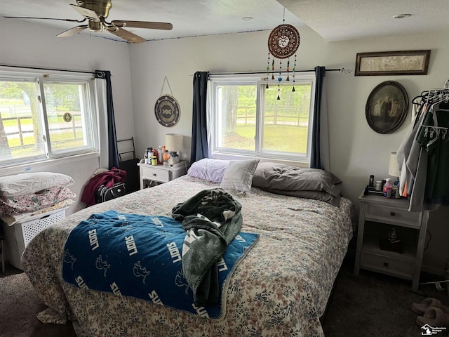 4211 Shelton Dr, Lambertville, MI 48144 - bedroom featuring multiple windows, carpet, a ceiling fan, and a textured ceiling