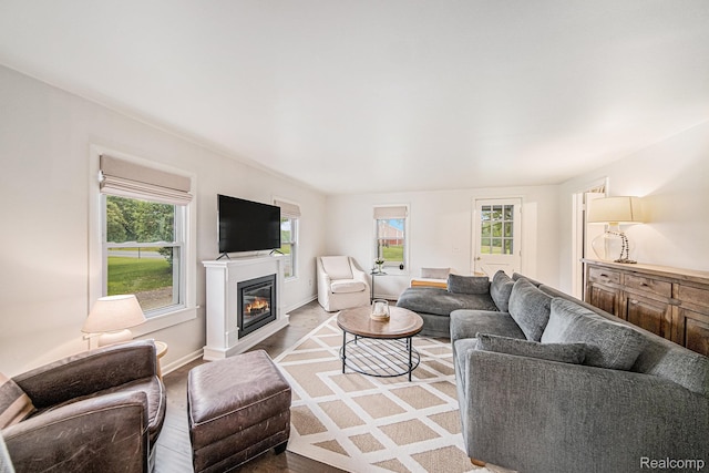 4340 Austin Rd, Saline, MI 48176 - living room featuring a glass covered fireplace, baseboards, and wood finished floors