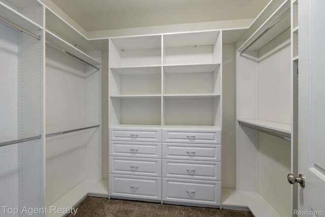109 Willow Lake Dr, Oxford, MI 48371 - walk in closet featuring dark carpet