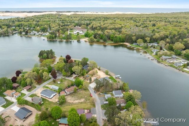 2058 N White Birch Dr, Mears, MI 49436 - drone / aerial view of a large body of water and a heavily wooded area