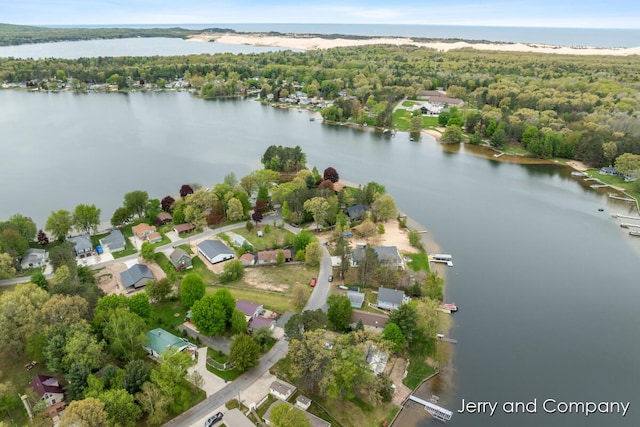 2058 N White Birch Dr, Mears, MI 49436 - aerial view of property and surrounding area with a large body of water, a forest, and nearby suburban area