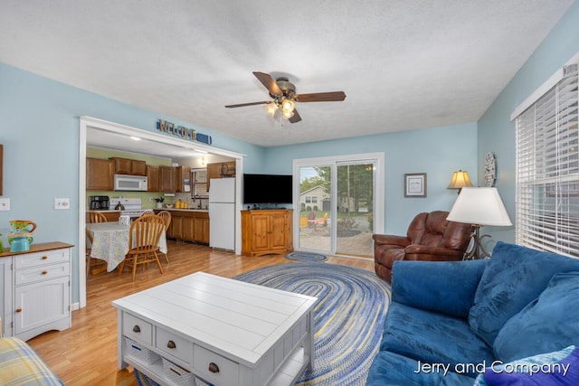 2058 N White Birch Dr, Mears, MI 49436 - living room featuring a ceiling fan and light wood-type flooring