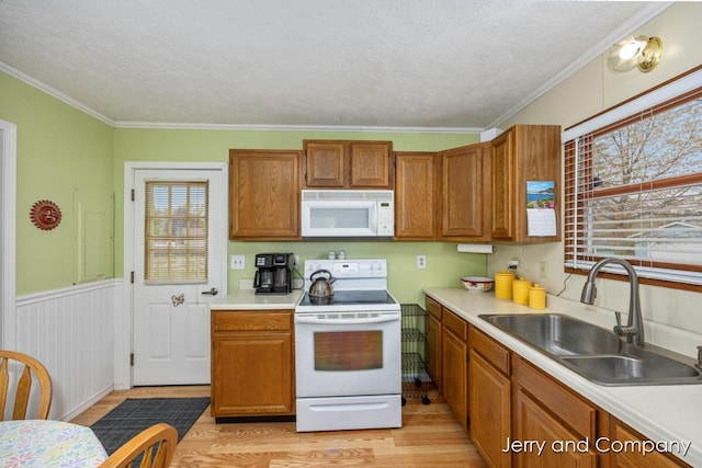 2058 N White Birch Dr, Mears, MI 49436 - kitchen featuring white appliances, light wood-style flooring, a textured ceiling, a sink, and light countertops