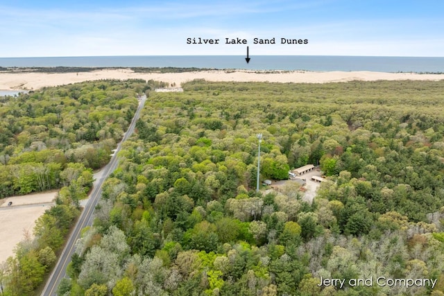 2058 N White Birch Dr, Mears, MI 49436 - bird's eye view of a nearby body of water and a heavily wooded area