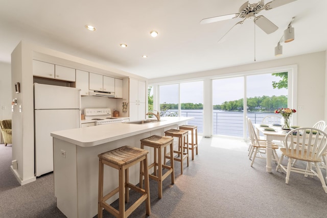 15657 Lakeview Dr, Buchanan, MI 49107 - kitchen with white appliances, a sink, plenty of natural light, carpet, and recessed lighting