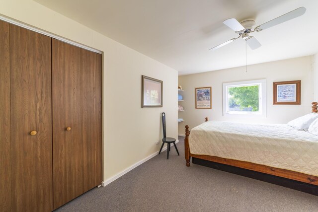 15657 Lakeview Dr, Buchanan, MI 49107 - bedroom with carpet flooring, a closet, ceiling fan, and baseboards