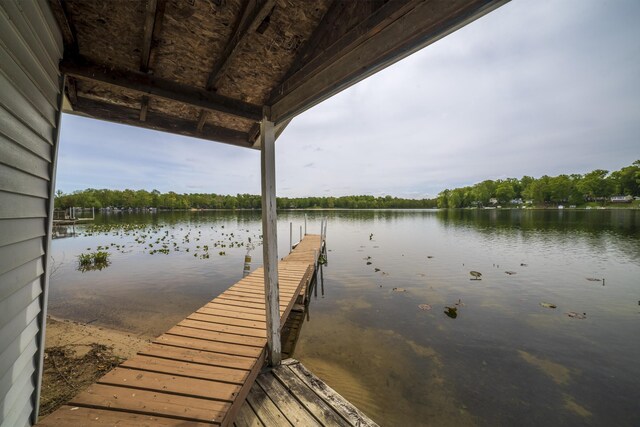 15657 Lakeview Dr, Buchanan, MI 49107 - dock featuring a water view