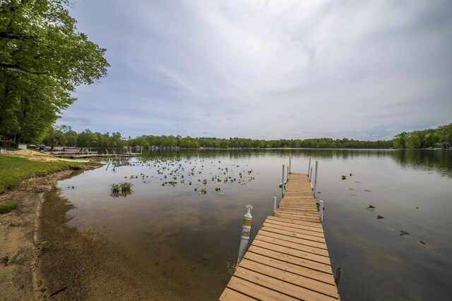 15657 Lakeview Dr, Buchanan, MI 49107 - dock area with a water view