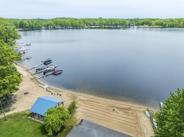 15657 Lakeview Dr, Buchanan, MI 49107 - water view featuring a heavily wooded area