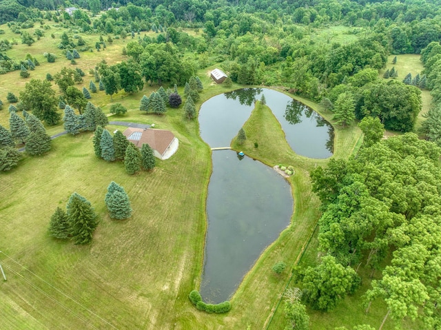 12741 Sharon Hollow Rd, Manchester, MI 48158 - drone / aerial view of a nearby body of water