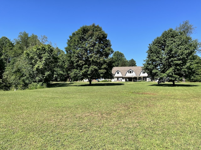 7033 N M-140, Watervliet, MI 49098 - view of green lawn