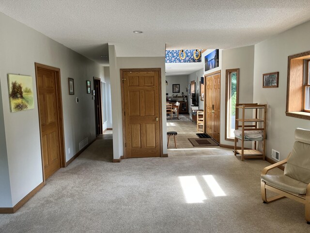 7033 N M-140, Watervliet, MI 49098 - foyer featuring carpet, a textured ceiling, and baseboards