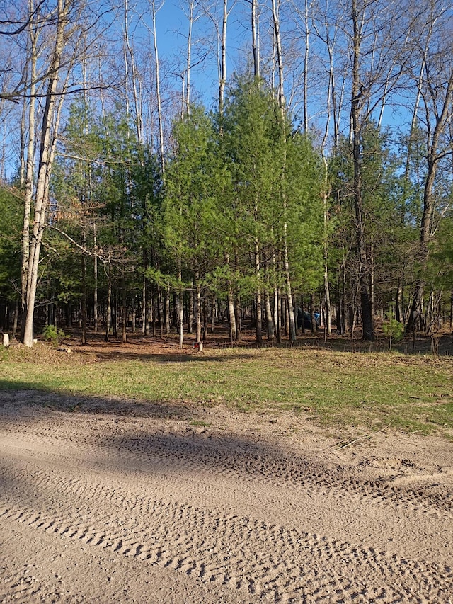 6651 W 6 Mile Rd, Irons, MI 49644 - view of yard