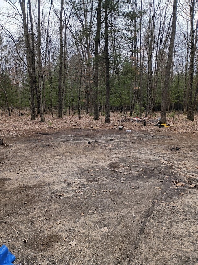 6651 W 6 Mile Rd, Irons, MI 49644 - view of undeveloped land