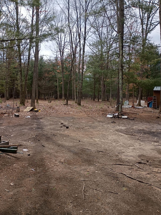 6651 W 6 Mile Rd, Irons, MI 49644 - view of yard