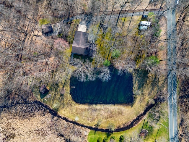 10989 E D E Ave, Richland, MI 49083 - aerial view