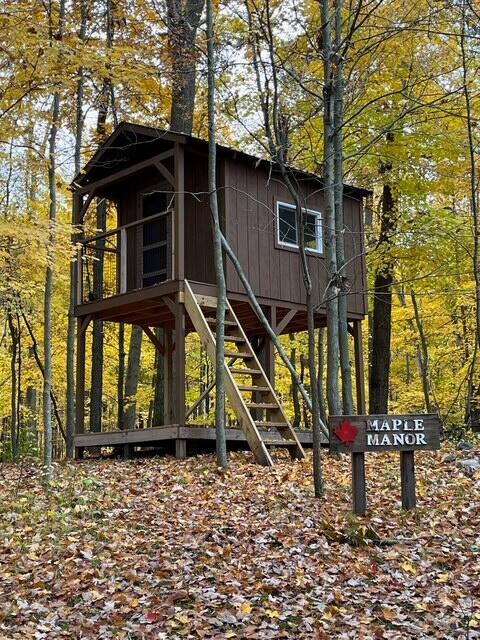 10989 E D E Ave, Richland, MI 49083 - view of outbuilding with stairway and a forest view
