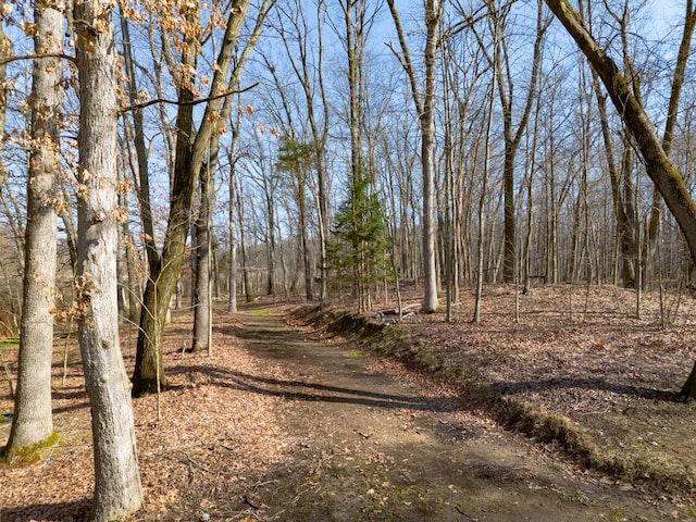 10989 E D E Ave, Richland, MI 49083 - view of street with a wooded view