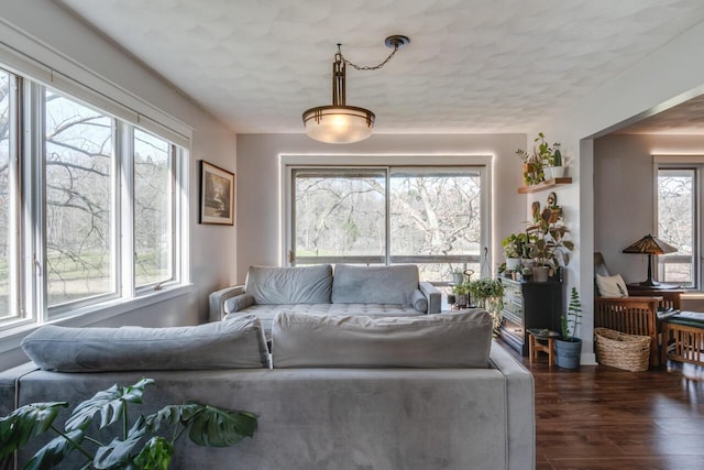 10989 E D E Ave, Richland, MI 49083 - living room featuring wood finished floors