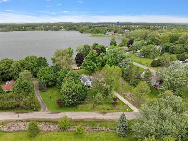 236 Simpson St, Grass Lake, MI 49240 - drone / aerial view of a large body of water