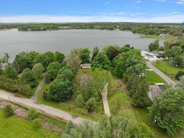 236 Simpson St, Grass Lake, MI 49240 - aerial view of a large body of water