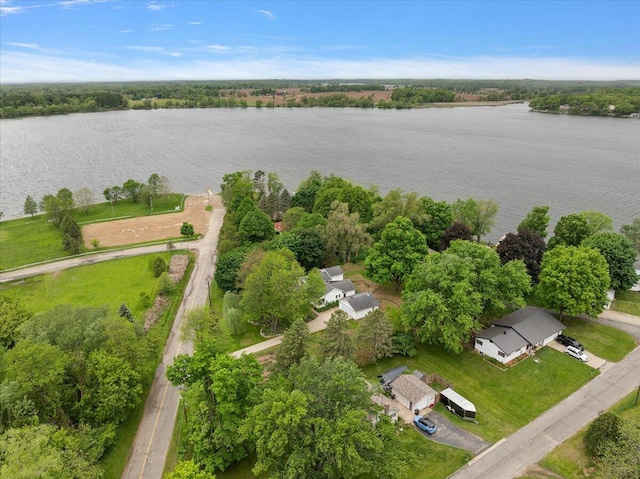 236 Simpson St, Grass Lake, MI 49240 - aerial view of property's location featuring a nearby body of water