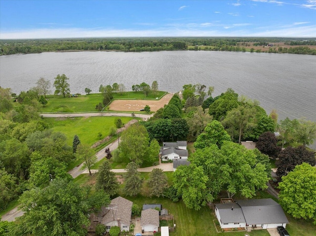 236 Simpson St, Grass Lake, MI 49240 - bird's eye view of a nearby body of water