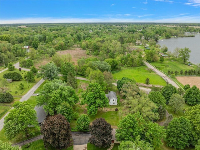 236 Simpson St, Grass Lake, MI 49240 - drone / aerial view of a large body of water and a forest