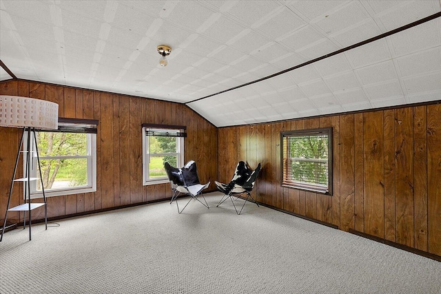236 Simpson St, Grass Lake, MI 49240 - workout room featuring lofted ceiling, light colored carpet, wood walls, and baseboards