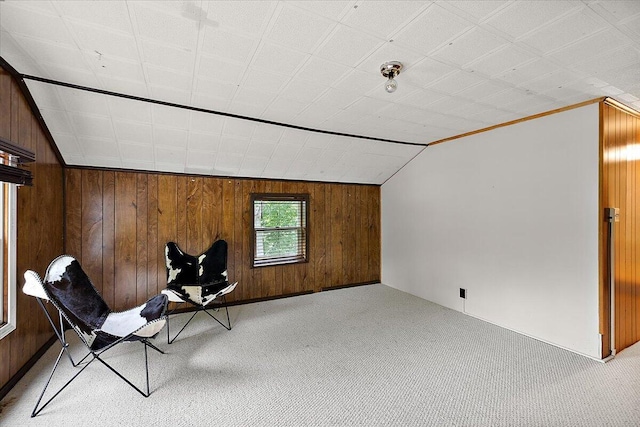 236 Simpson St, Grass Lake, MI 49240 - additional living space with wood walls, lofted ceiling, and carpet flooring