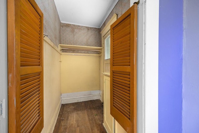 554 Ethel Ave SE, Grand Rapids, MI 49506 - walk in closet featuring dark wood-style floors