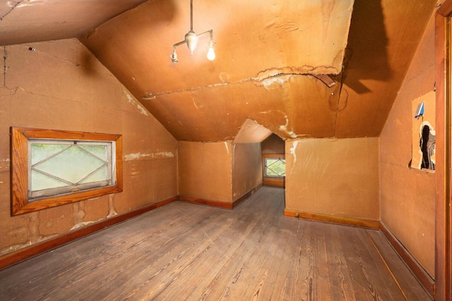554 Ethel Ave SE, Grand Rapids, MI 49506 - additional living space featuring wood-type flooring and lofted ceiling