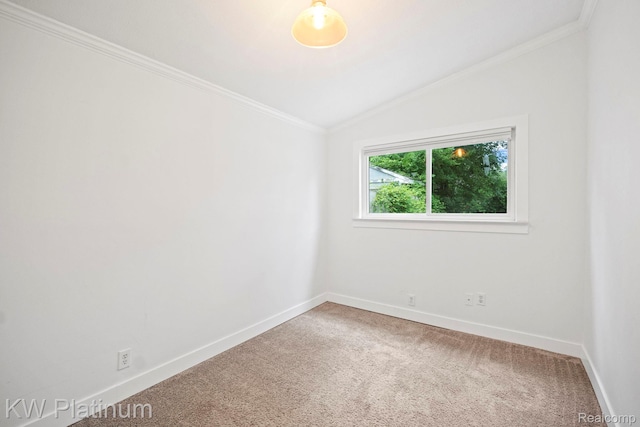 23377 Melville Ave, Hazel Park, MI 48030 - photo 12