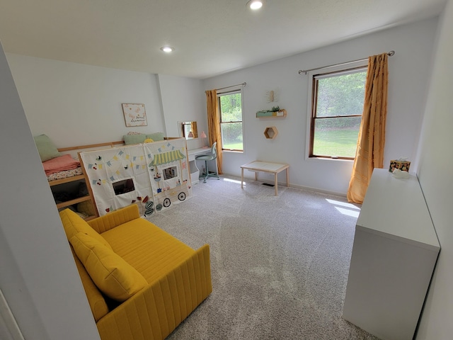 9490 N 12th St, Kalamazoo, MI 49009 - recreation room with recessed lighting, carpet floors, and baseboards