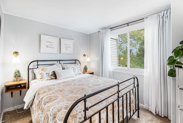 434 Riverbend Dr, Milan, MI 48160 - carpeted bedroom featuring baseboards and crown molding