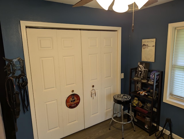 6919 Abrahamson Rd, Ludington, MI 49431 - bedroom featuring dark wood-style flooring, a closet, and a ceiling fan