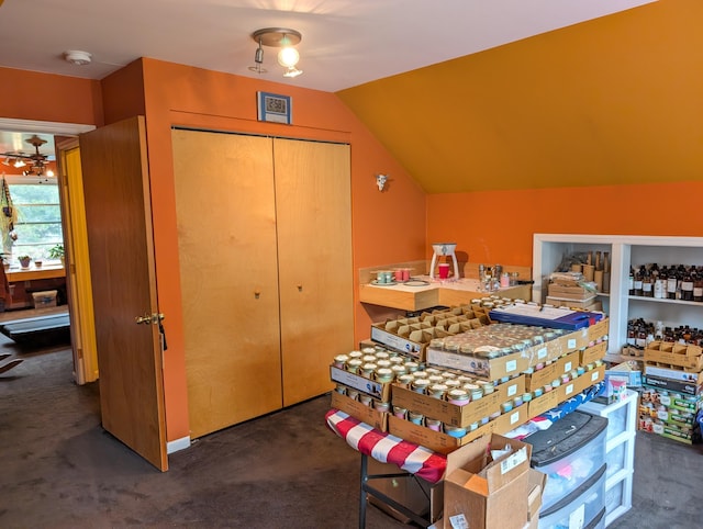 6919 Abrahamson Rd, Ludington, MI 49431 - bedroom featuring carpet, a closet, and vaulted ceiling