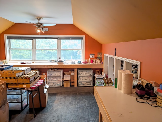 6919 Abrahamson Rd, Ludington, MI 49431 - bonus room featuring lofted ceiling, a ceiling fan, and dark carpet