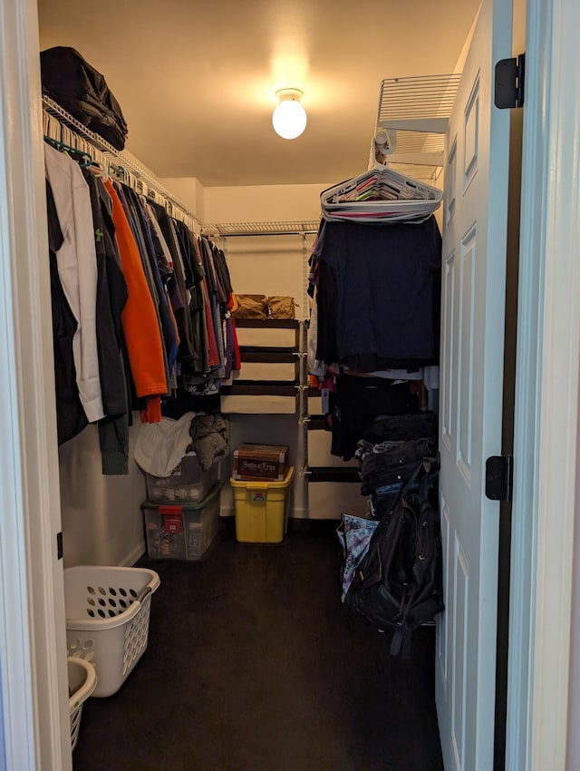 6919 Abrahamson Rd, Ludington, MI 49431 - walk in closet featuring carpet