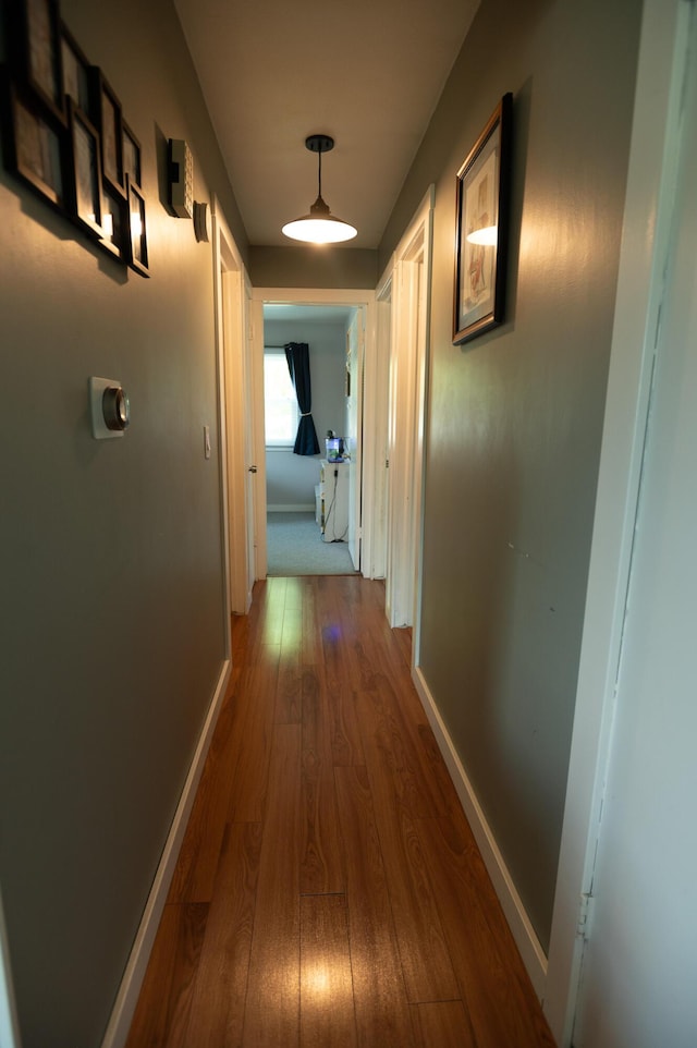 4314 Wilson Ave SW, Grandville, MI 49418 - hallway with wood finished floors and baseboards