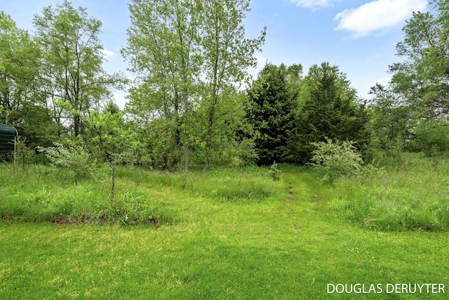 7470 Parmalee Rd, Middleville, MI 49333 - view of nature