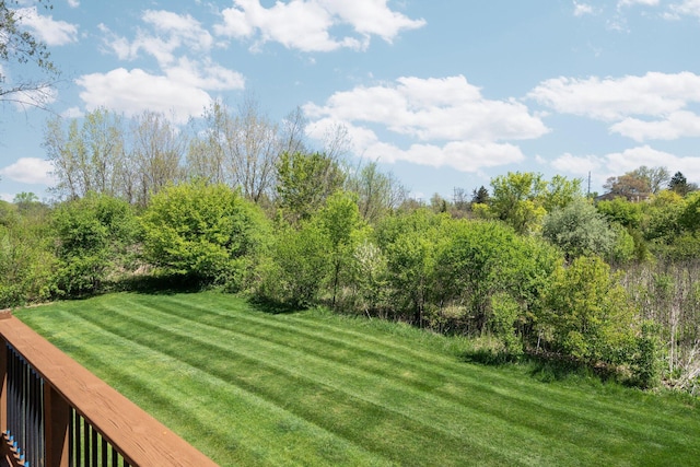 4139 Persimmon Dr, Ypsilanti, MI 48197 - view of green lawn
