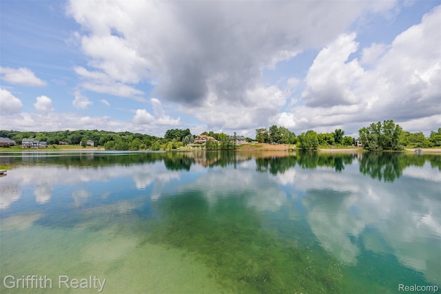 1804 Morgan Lake Ct, Brighton, MI 48114 - water view