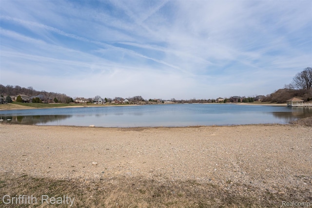 1804 Morgan Lake Ct, Brighton, MI 48114 - water view