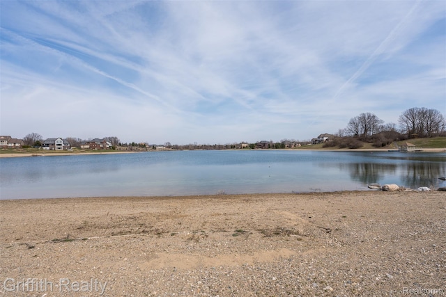 1804 Morgan Lake Ct, Brighton, MI 48114 - water view