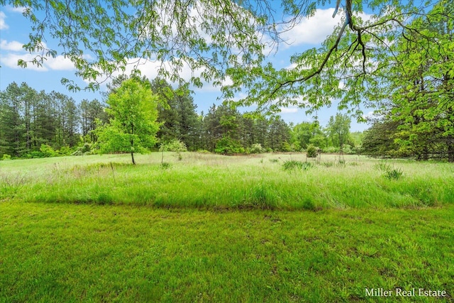 4700 M-79, Nashville, MI 49073 - view of yard featuring a forest view